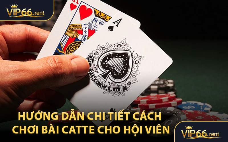 Hướng Dẫn Chi Tiết Cách Chơi Bài Catte Cho Hội Viên