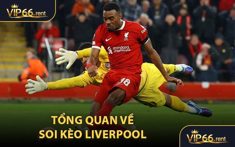 Tổng Quan Về Soi Kèo Liverpool 