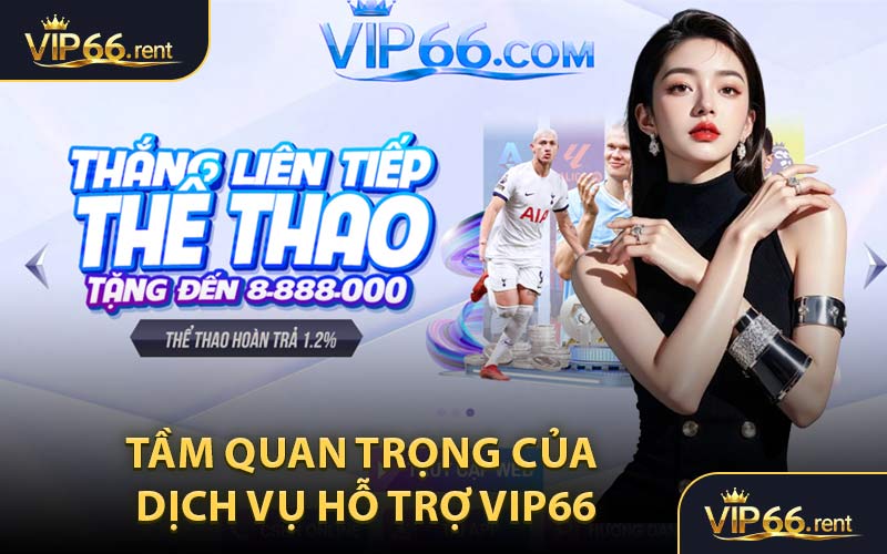 Tầm Quan Trọng Của Dịch Vụ Hỗ Trợ VIP66