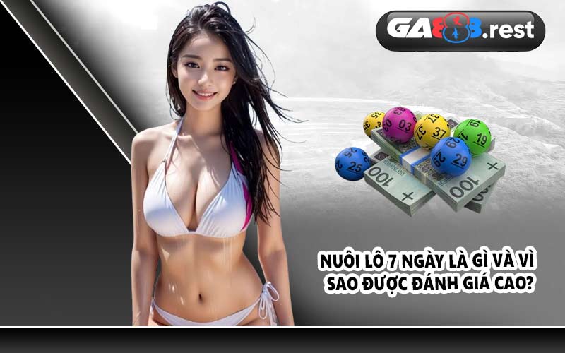 Nuôi lô 7 ngày là gì và vì sao được đánh giá cao?